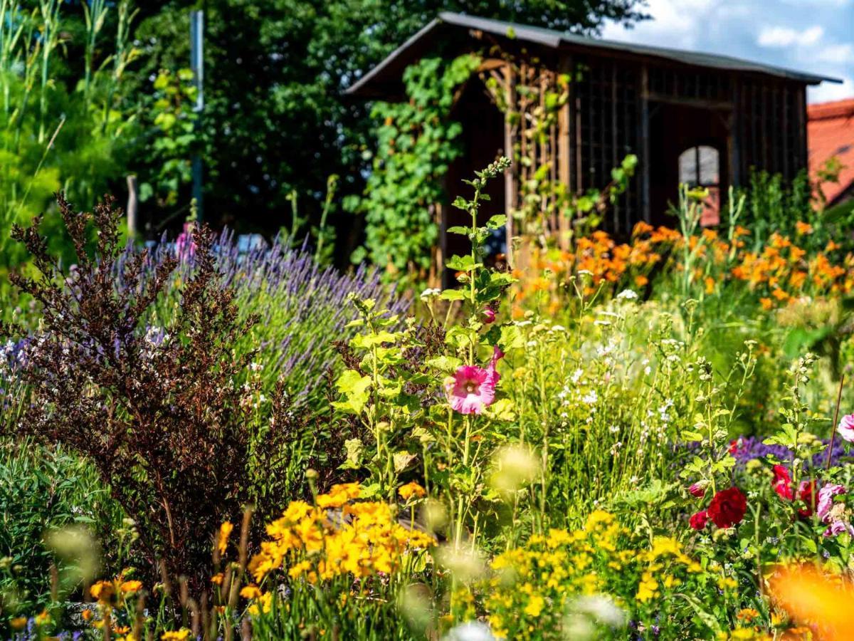 Landhotel Gut Wildberg Meißen Exterior foto
