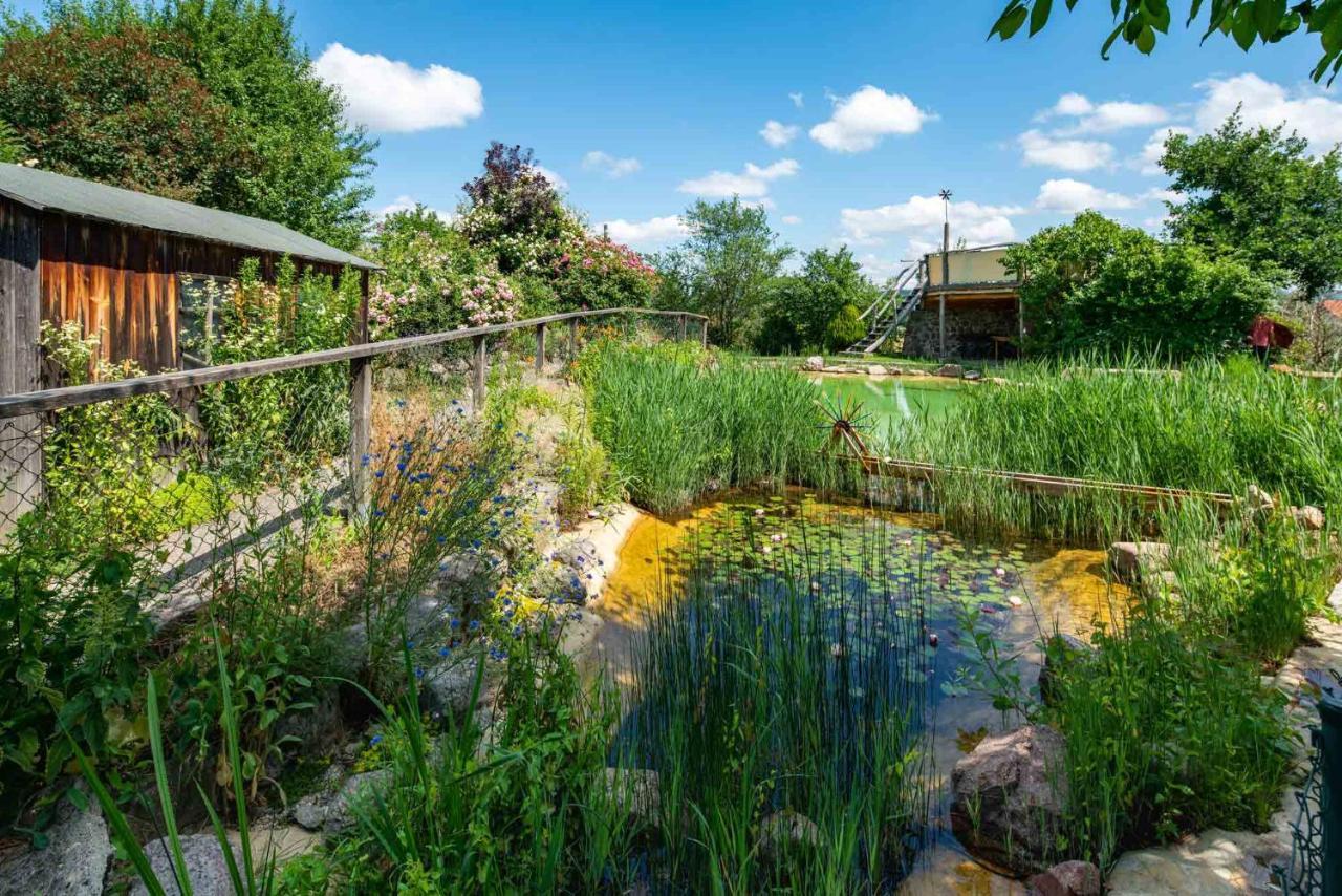 Landhotel Gut Wildberg Meißen Exterior foto
