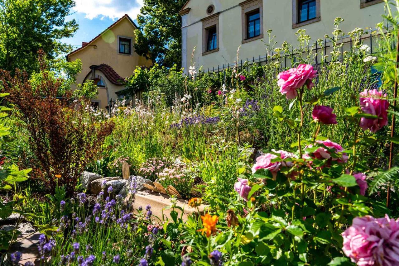 Landhotel Gut Wildberg Meißen Exterior foto